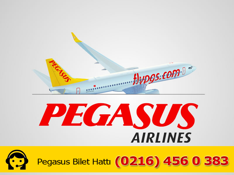Сайт пегасус купить билет. Pegasus Airlines. Pegasus Airlines лого. Пегасус авиакомпания Pegasus Airlines. Билет Пегасус.